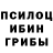 Галлюциногенные грибы мицелий WIP 51