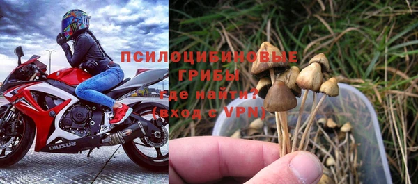 мдпв Медногорск