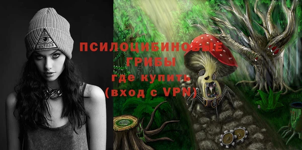 мдма Медвежьегорск