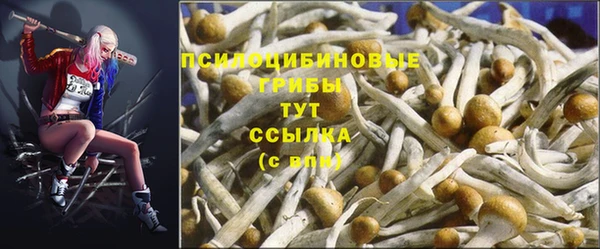 мдма Медвежьегорск