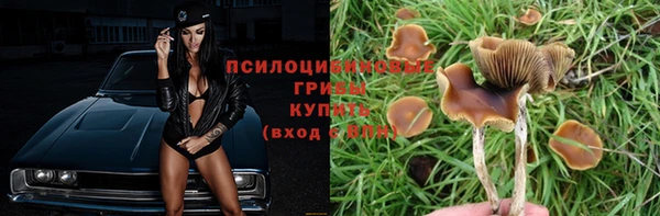 мдма Медвежьегорск