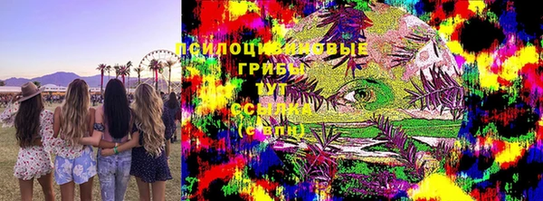 мдпв Медногорск