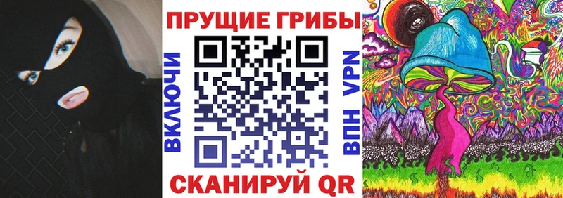 Псилоцибиновые грибы Psilocybe Чайковский
