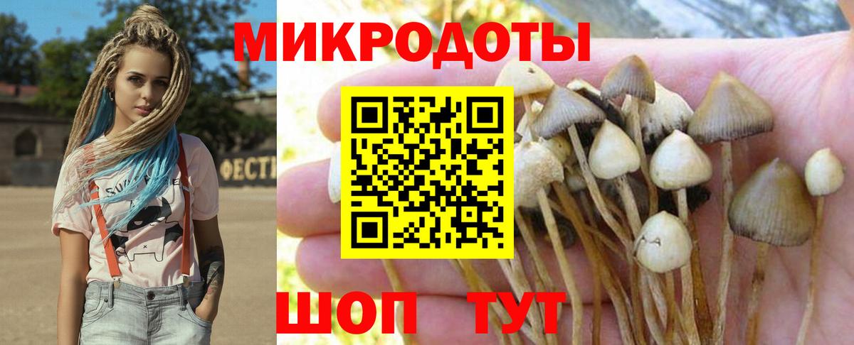 Псилоцибиновые грибы MAGIC MUSHROOMS Чайковский