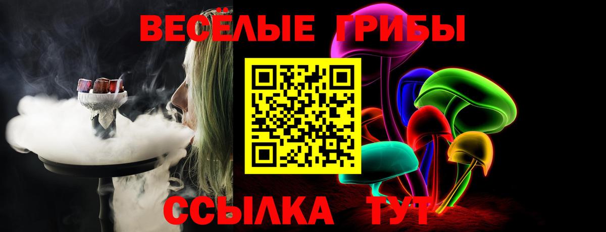 Чайковский  Псилоцибиновые грибы мухоморы  Вход с VPN  Галлюциногенные грибы Psilocybe 