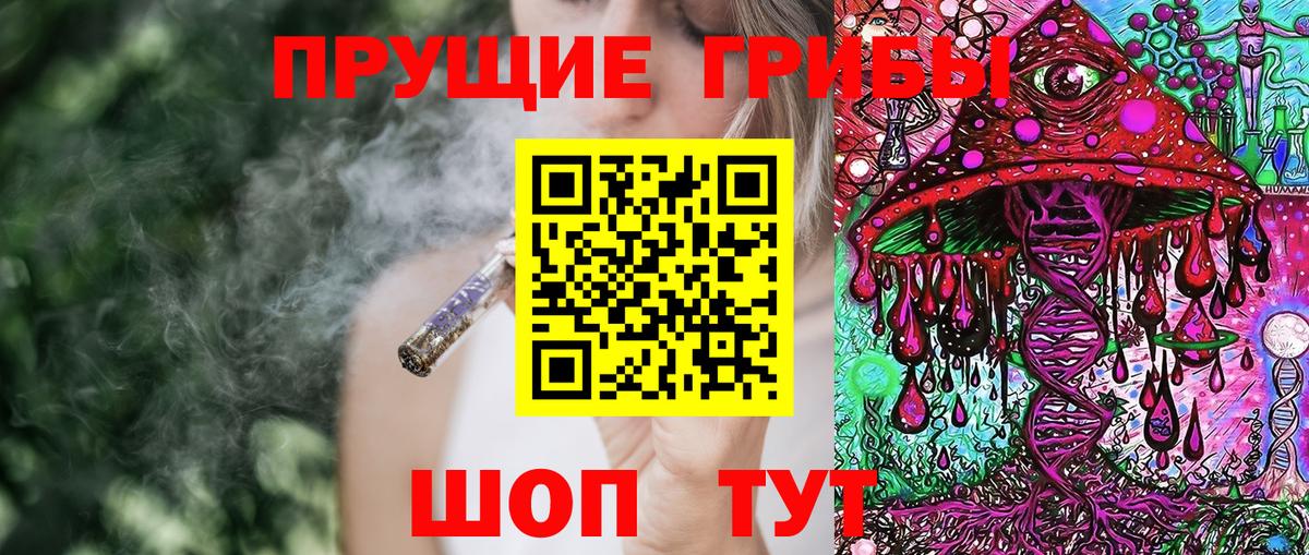 Псилоцибиновые грибы Cubensis  Чайковский 